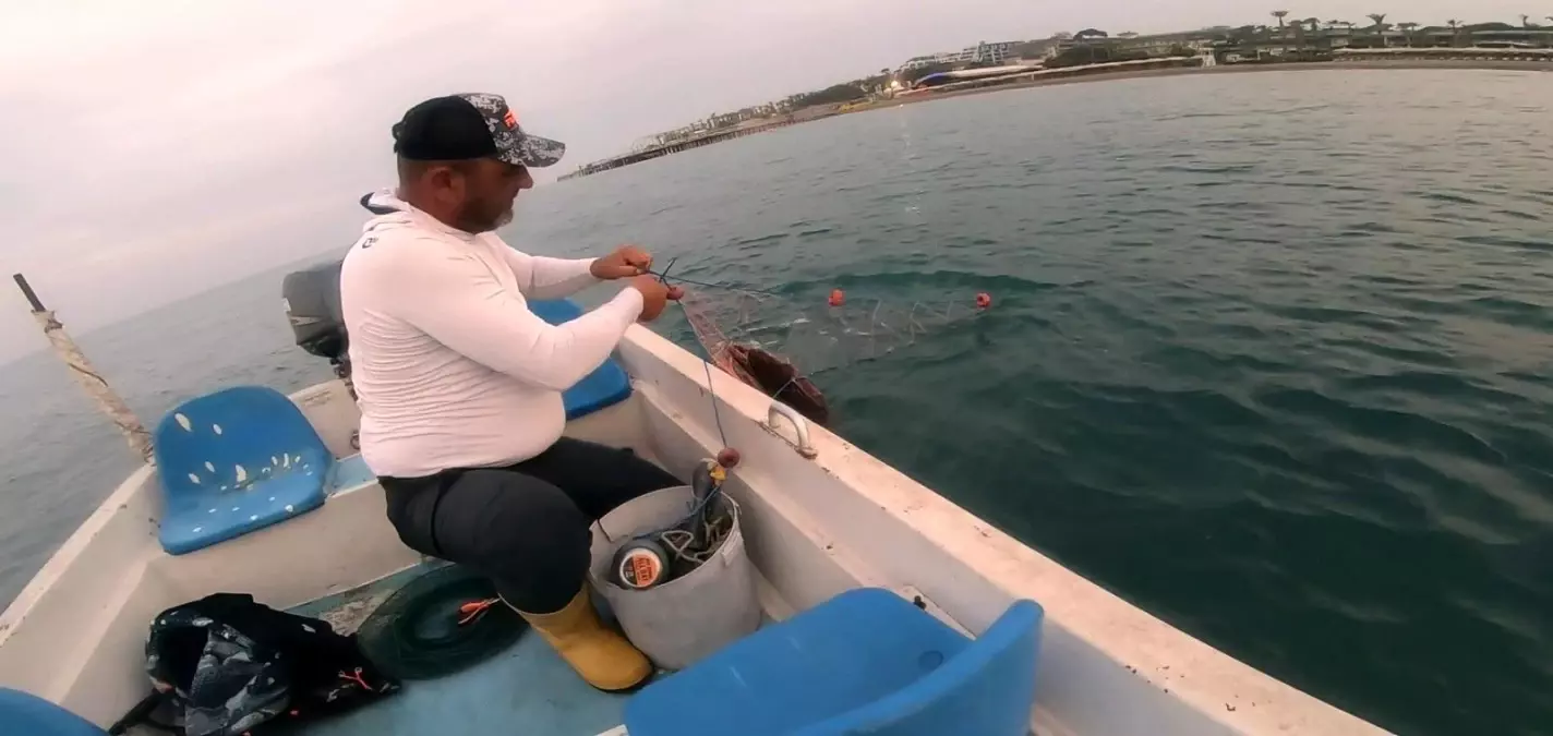 Amatör balıkçı, ağa takılan Caretta Caretta\'yı \'gülüm, bir tanem\' diyerek kurtardı