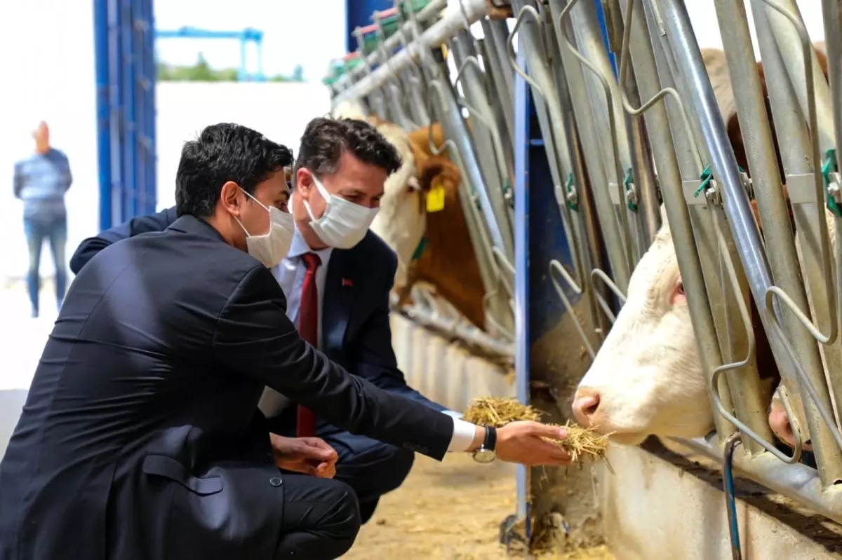 Beylikova\'da açılan gıda işletmesinde 50 kişiye istihdam sağlanacak