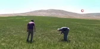 Çiftçileri kuraklık korkusu tedirgin ediyor