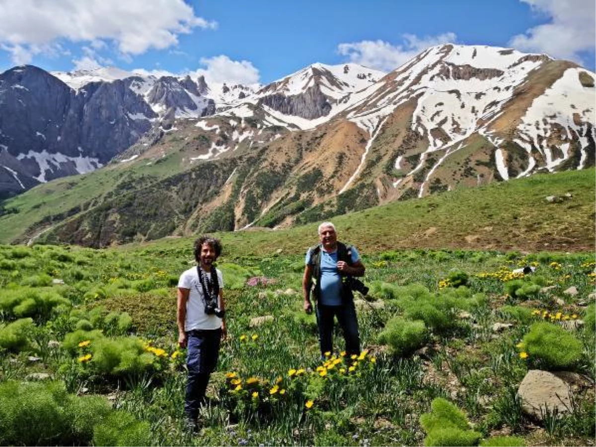 Tunceli\'de yeni soğan türü keşfedildi