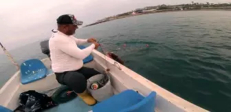 Amatör balıkçı, ağa takılan Caretta Caretta'yı 'gülüm, bir tanem' diyerek kurtardı