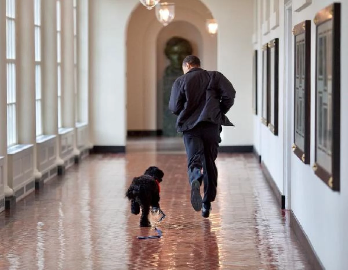 Son dakika haberi! Barack Obama\'nın köpeği Bo öldü