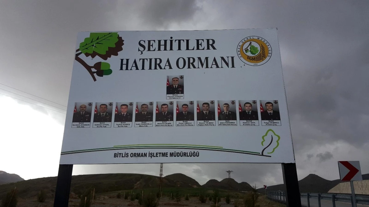 Bitlis\'teki helikopter şehitleri anısına hatıra ormanı oluşturuldu
