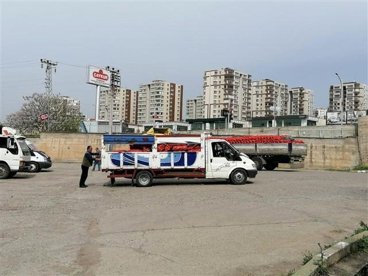 Diyarbakır\'da 292 bin haneye 5 bin 844 ton patates ve soğan dağıtıldı
