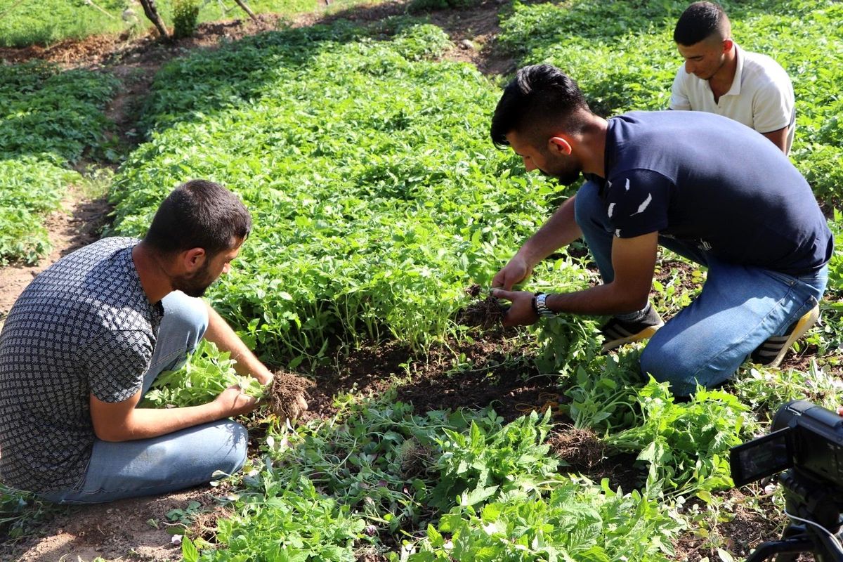 Devlet destek verdi, Türkiye\'nin farklı illerinden sipariş yağmaya başladı