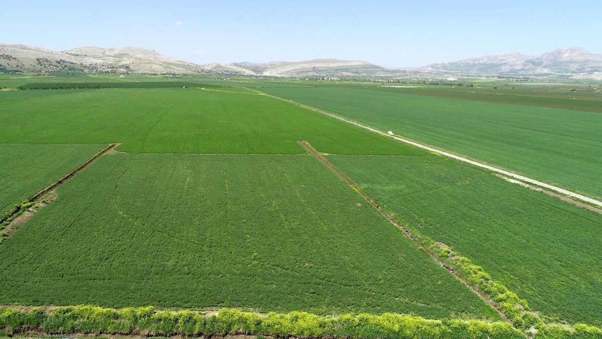 DSİ: "Diyarbakır\'da 577 bin 670 dekar arazi sulanacak"
