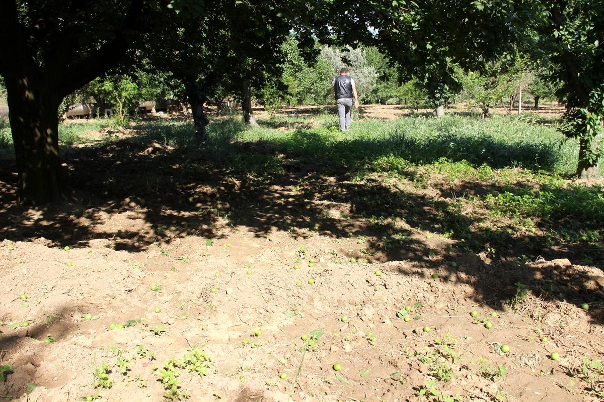 Dumanlı Papaz eriğini önce pandemi ardından rüzgar vurdu