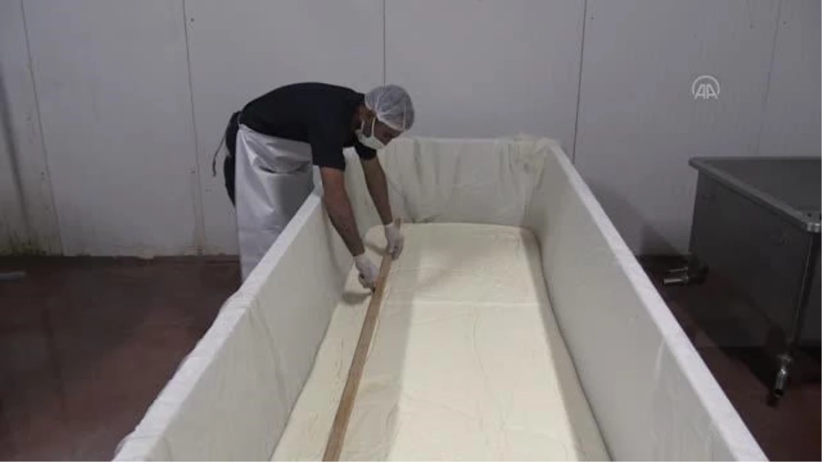 GAZİANTEP - Üreticilerin elinde kalan sütler peynire dönüştürülerek ihtiyaç sahiplerine dağıtıldı