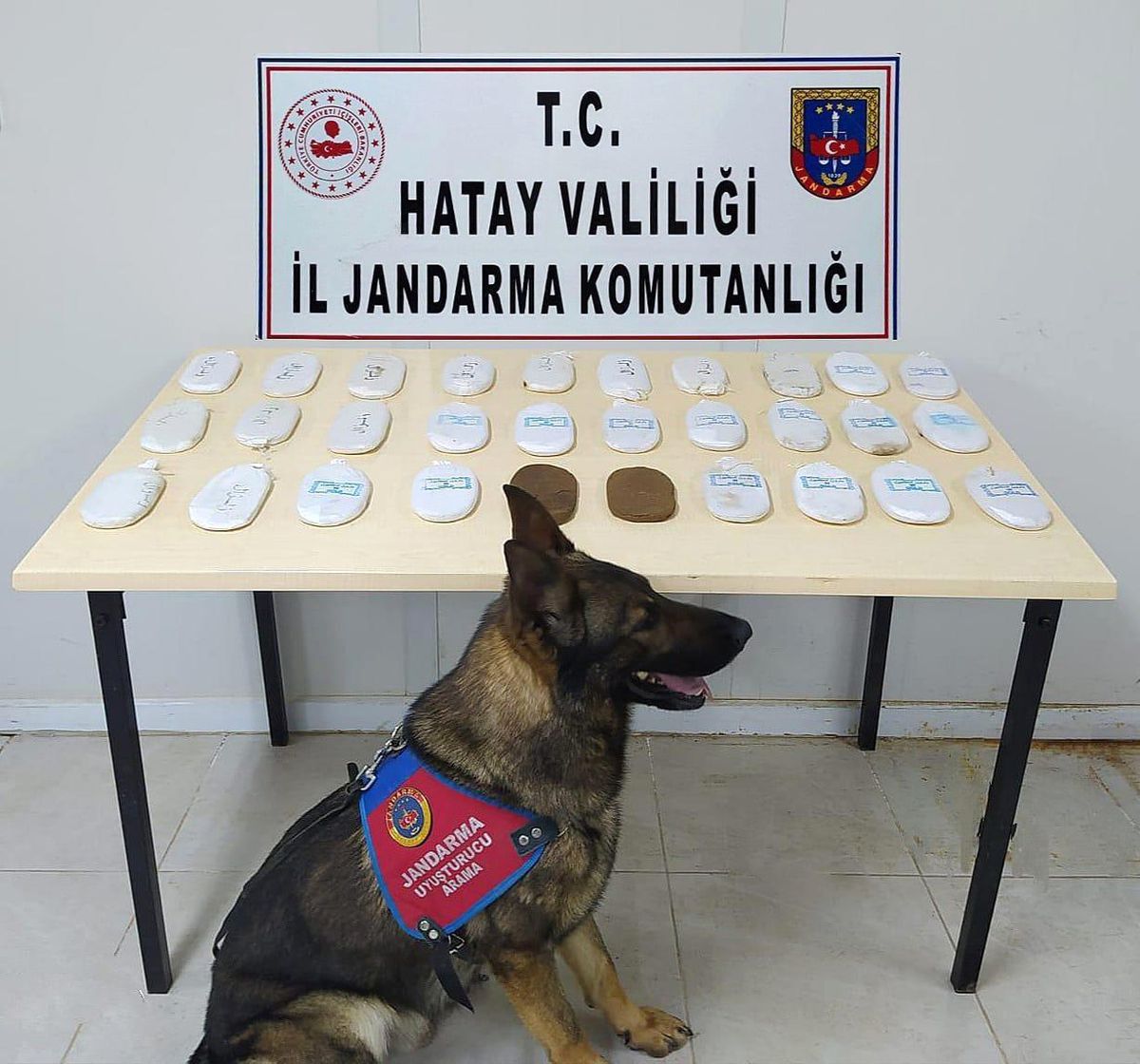 Son dakika: Hatay\'da uyuşturucu operasyonu: 2 gözaltı