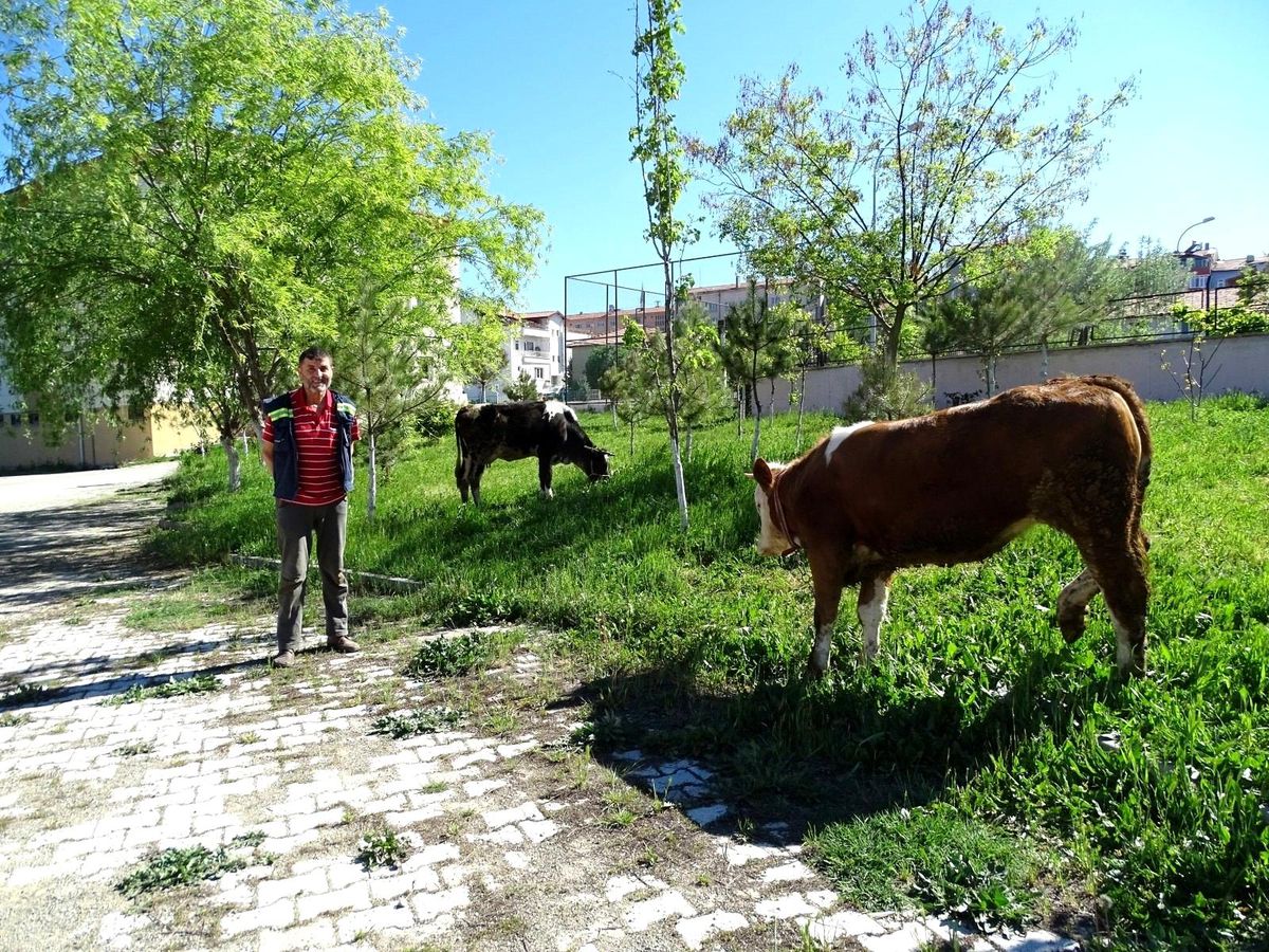Hisarcık\'ta okul bahçeleri hayat oluyor