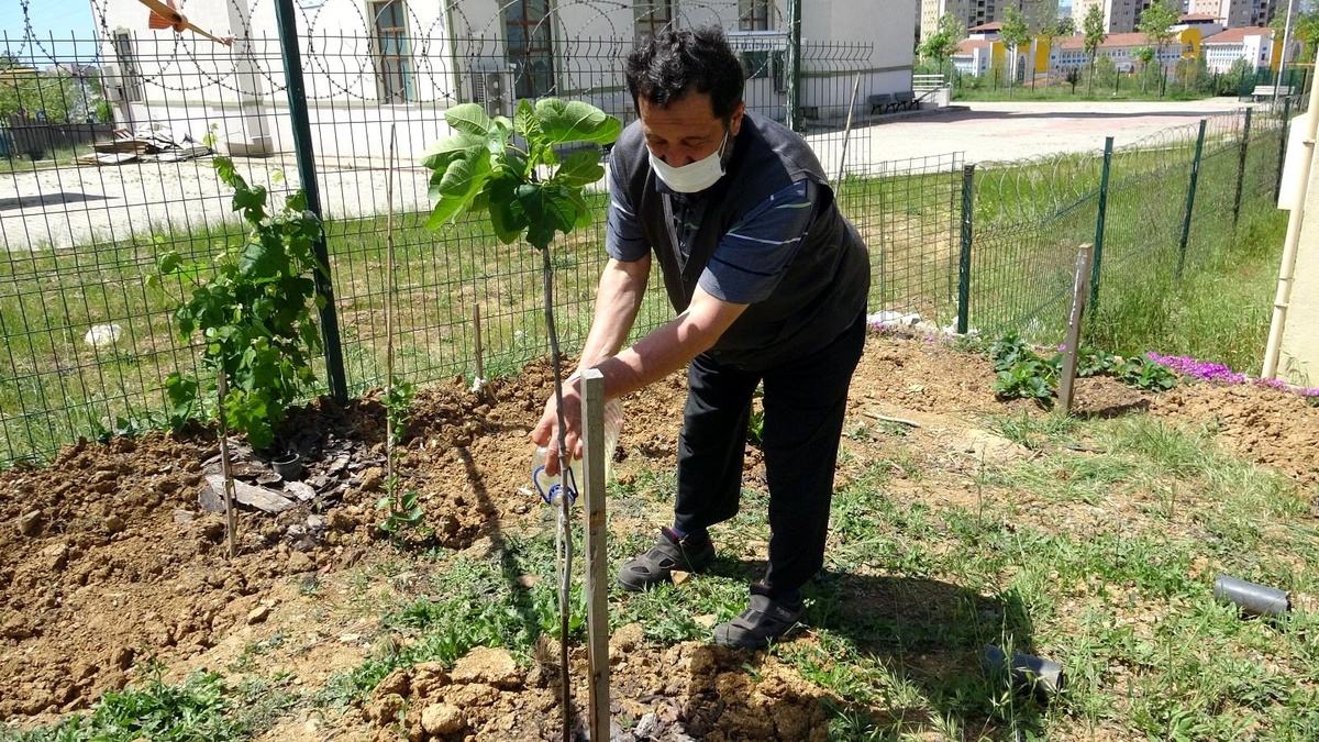 Tuzla\'da sağlık çalışanlarına jest için sağlık ocağının bahçesini meyve bahçesine çevirdi
