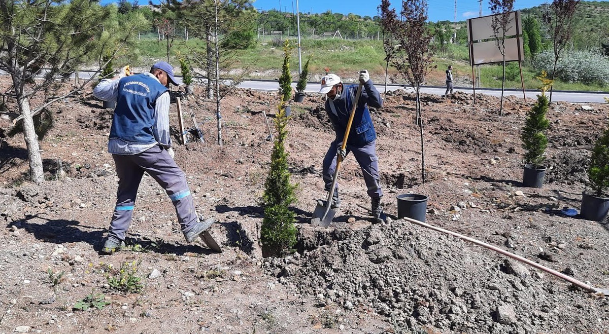 Ağaçlandırma seferberliğinde vatandaş ve belediye işbirliği