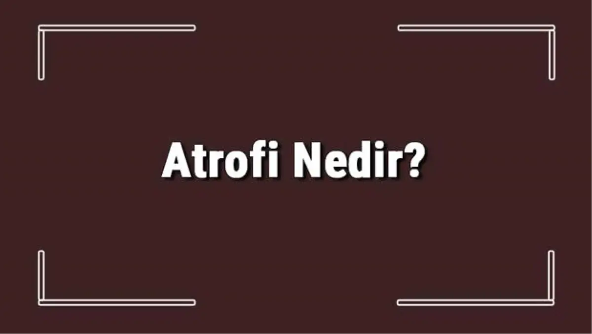Atrofi Nedir? Atrofi Nedenleri, Çeşitleri, Örnekleri ve Belirtileri Hakkında Bilgi