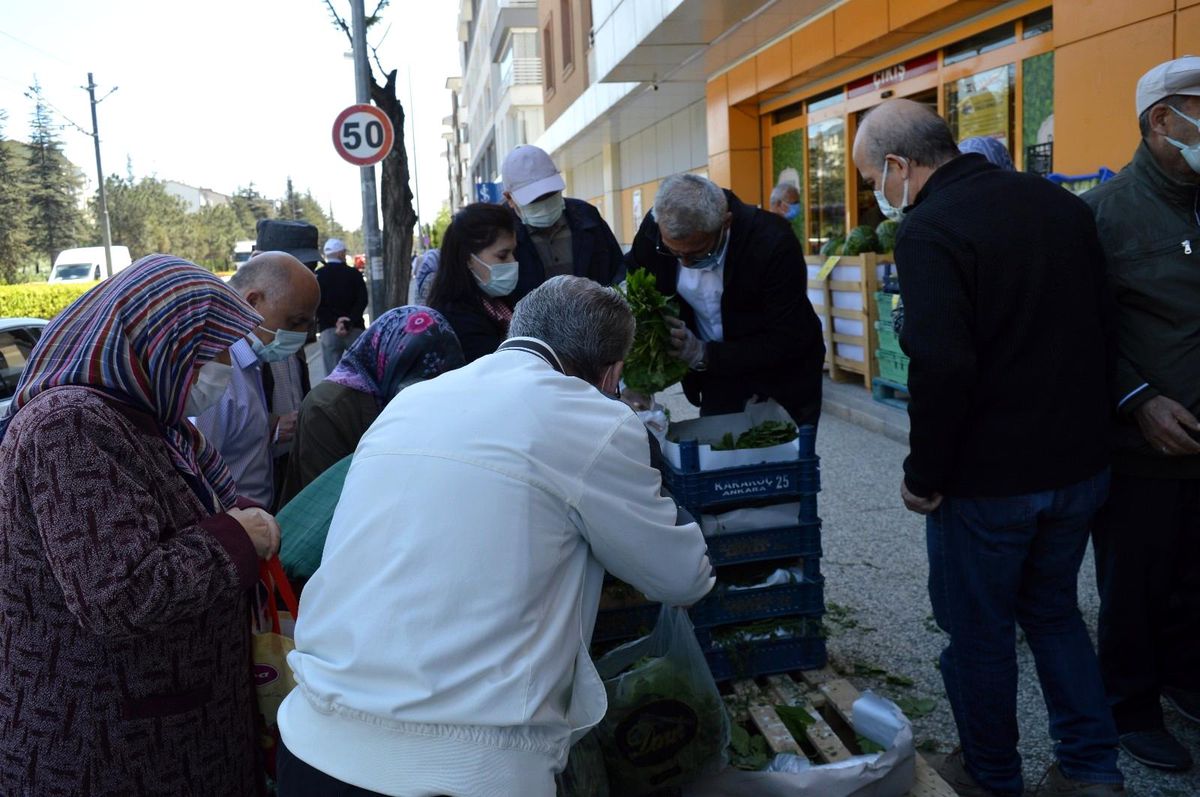 Bulaş riskine rağmen ucuz asma yaprağına hücum