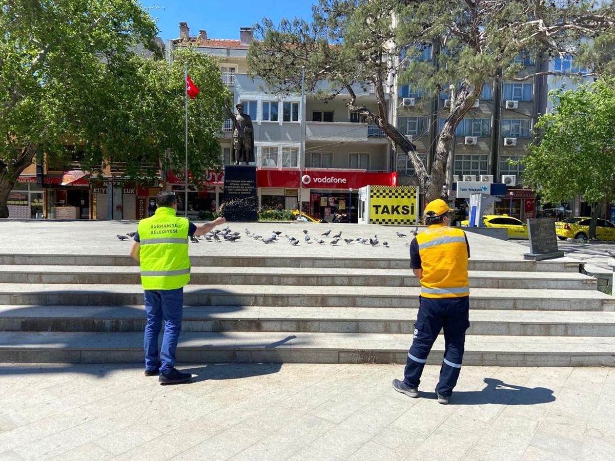 Burhaniye\'de sokak hayvanları için ekip kuruldu