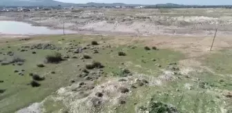 ÇANAKKALE - Çanakkale domatesinin jeotermal enerjili seralarda üretilip işleneceği organize sanayi bölgesi kurulacak