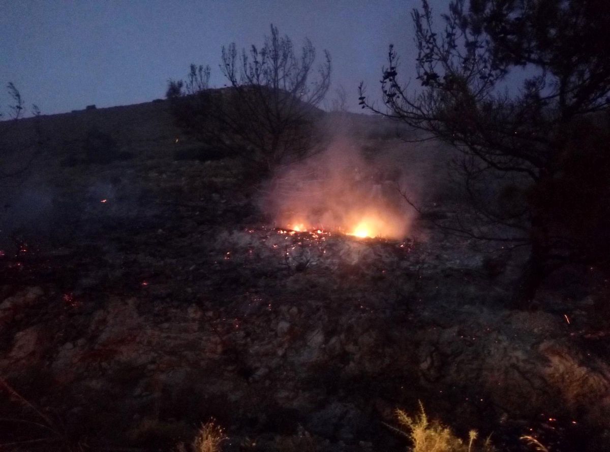 Datça\'da makilik alanda yangın
