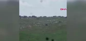 Denetime çıkan fahri av müfettişi, ayı ve 3 yavrusunu görüntüledi