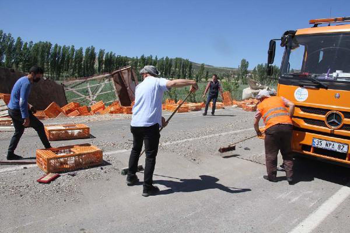 Devrilen TIR\'daki yüzlerce tavuk öldü