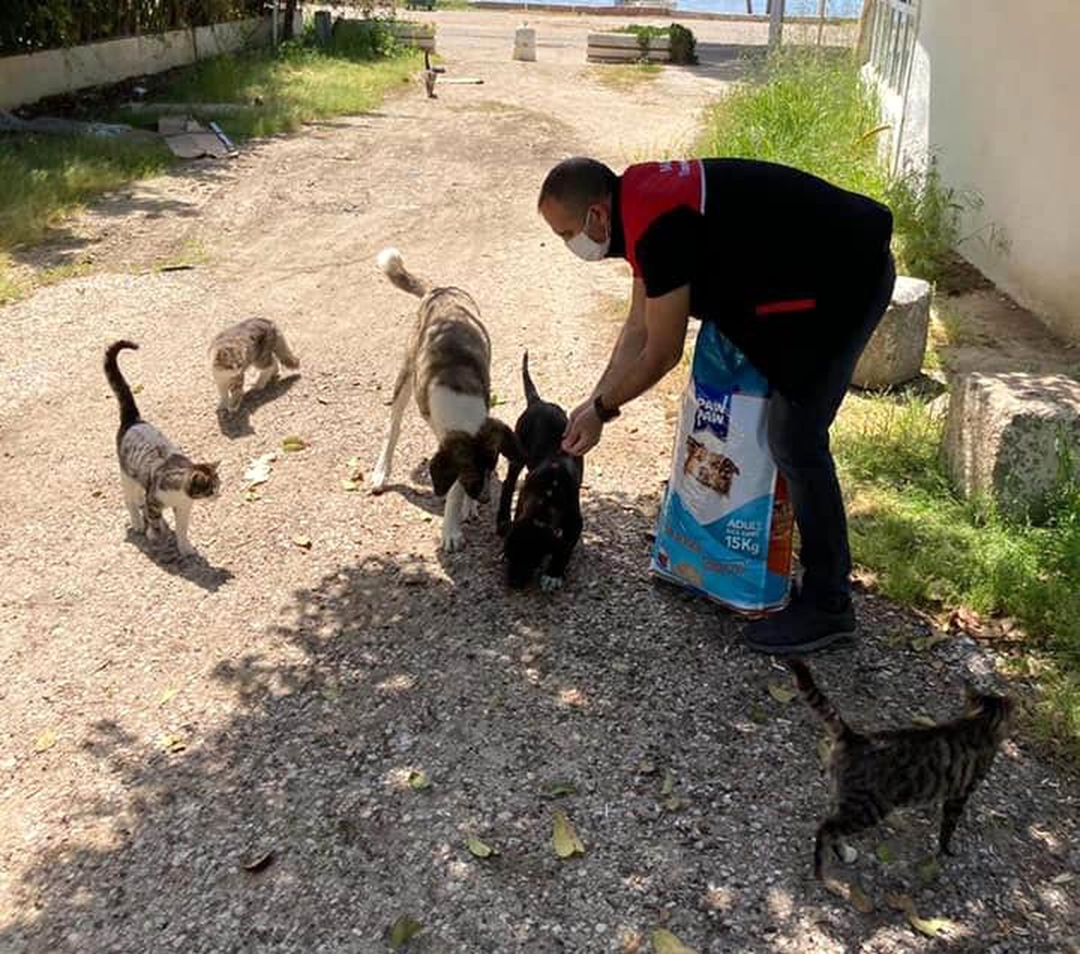 Erdek\'te market, şarküteri, pastane ve fırınlar denetlendi