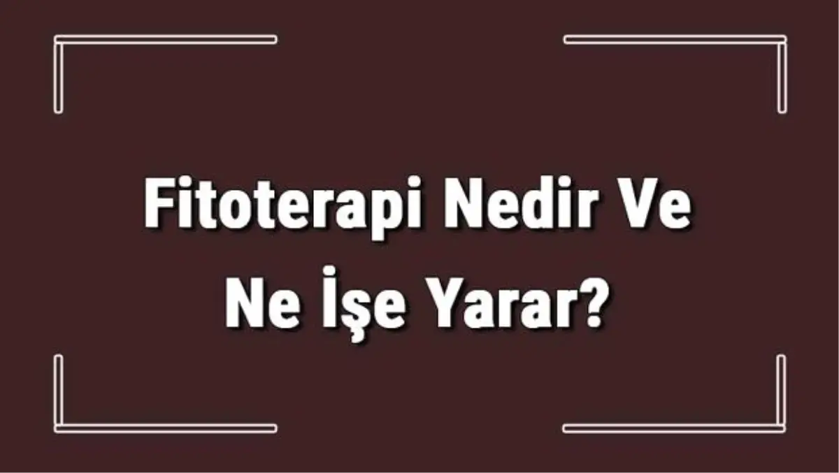 Fitoterapi Nedir ve Ne İşe Yarar? Fitoterapi Nasıl Yapılır ve Uygulanır