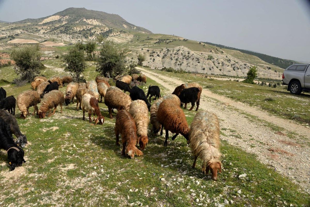 Kilis\'te Orköy projesi kapsamında 400 bin TL\'lik destek