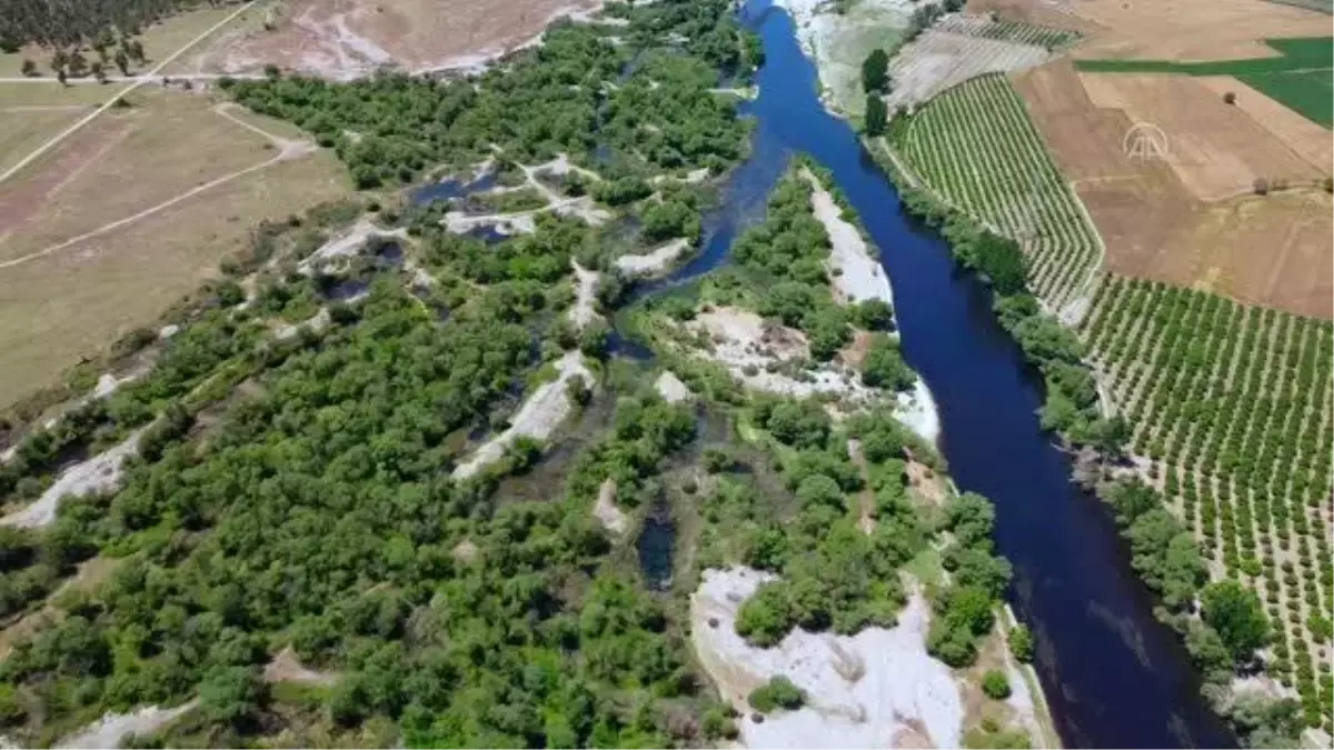 Kırmıtlı Kuş Cenneti ilkbaharın renklerine büründü