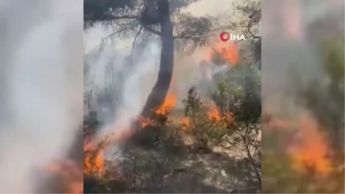 Kısıtlamada mangal yakan 3 kişi 5 hektar ormanı kül etti