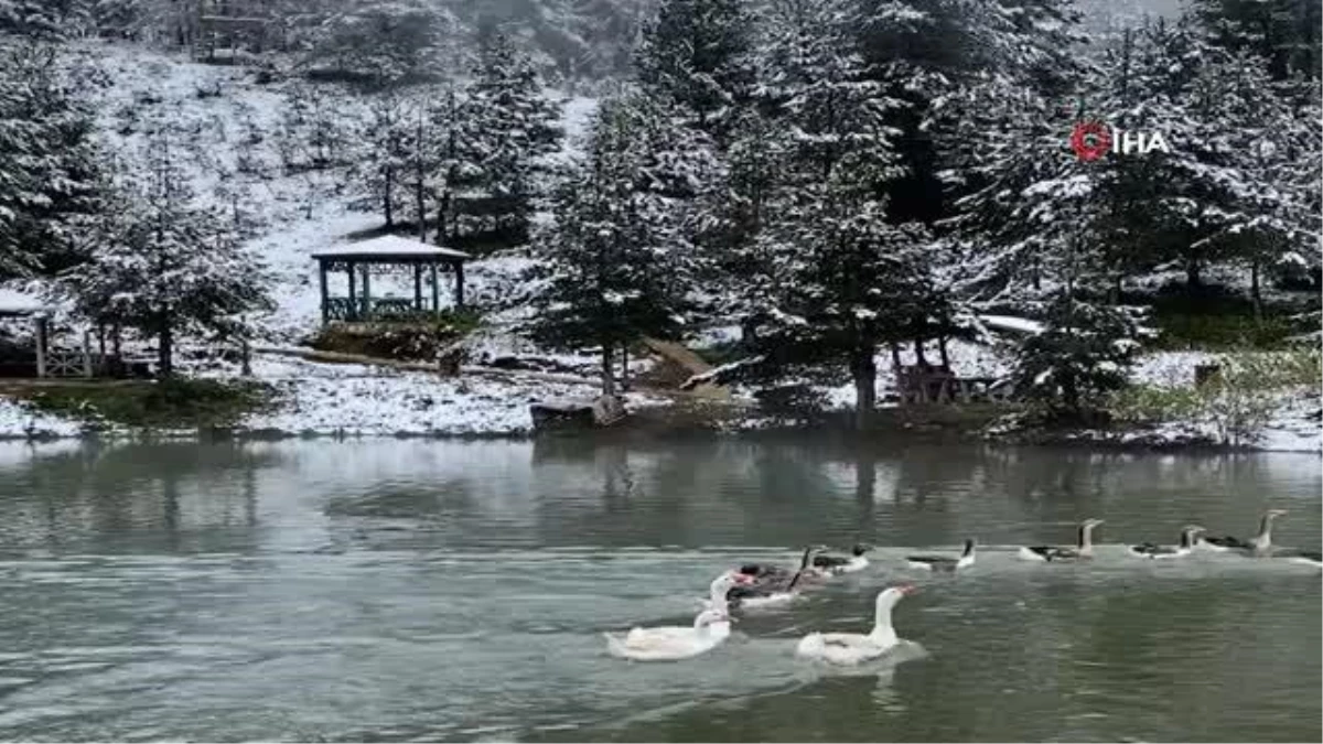 Son dakika haberi: Limni Gölü Tabiat Parkı\'ndan eşsiz görüntüler