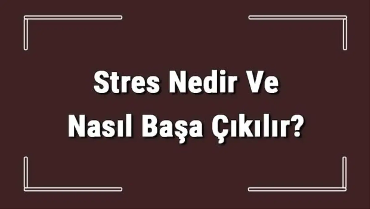 Stres Nedir ve Nasıl Başa Çıkılır? Stresin Zararları ve Vücuda Etkileri