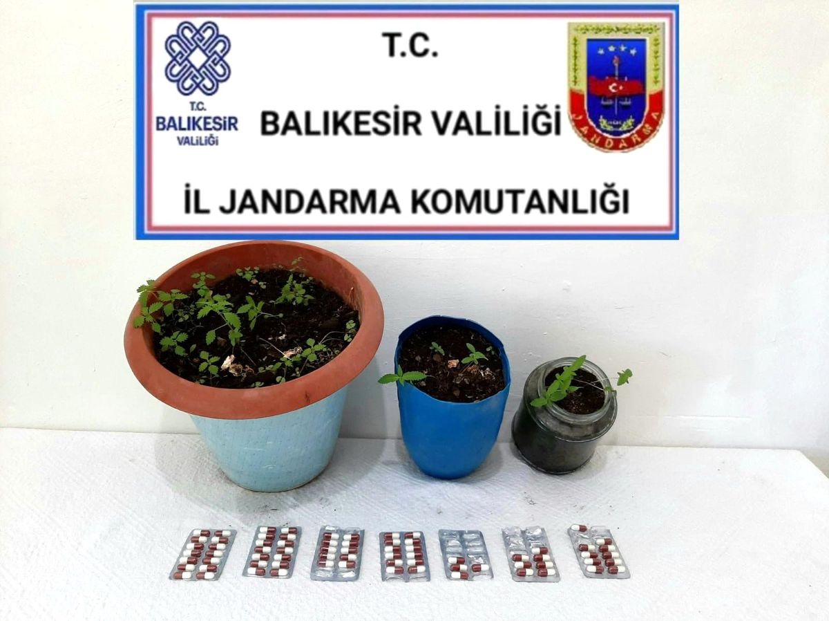 Son dakika! İvrindi\'de kenevir ve uyuşturucu operasyonu