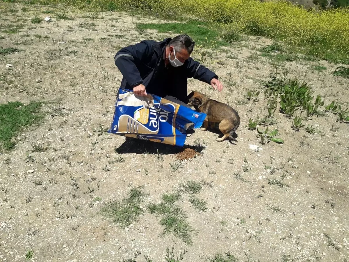 Son dakika haber! Pelitözü Gölpark\'taki hayvanlar ölüme terk edilmedi