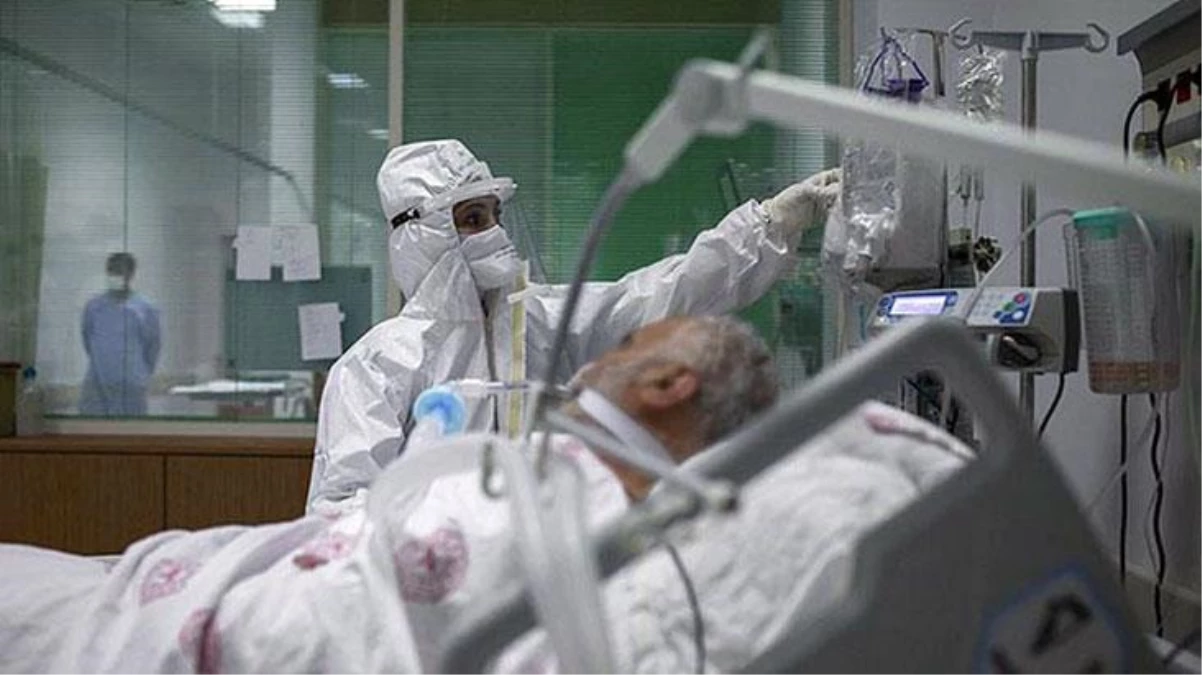Son Dakika: Türkiye\'de 12 Mayıs günü koronavirüs nedeniyle 232 kişi vefat etti, 13 bin 29 yeni vaka tespit edildi