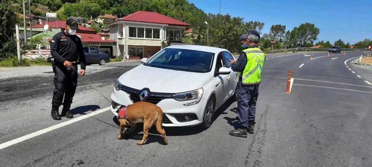 Zonguldak\'ta araması bulunan 20 şüpheli ve 2 aracı yakalandı
