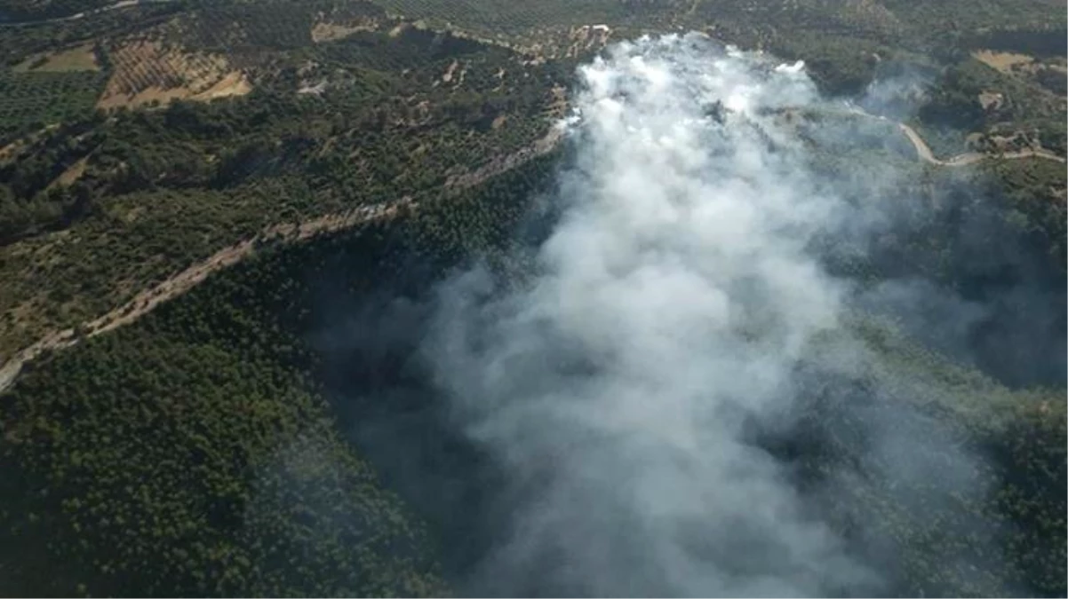 Bodrum\'da ormanlık alanda çıkan yangın, ekiplerin çalışmaları sonucu kontrol altına alındı
