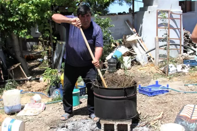 Kardeşini kanserden kaybeden çiftçi, doğal yollardan kekik aromalı karpuz üretti