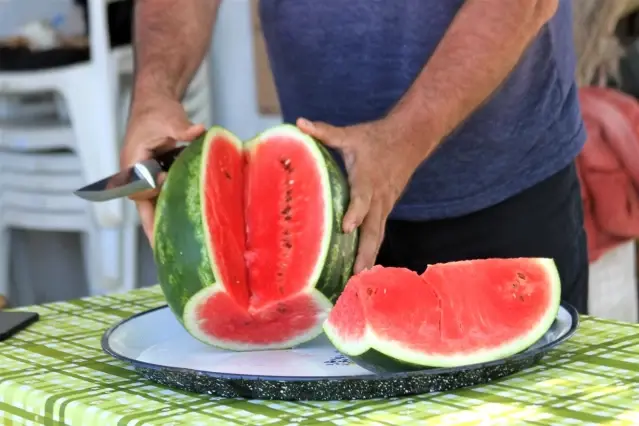 Kardeşini kanserden kaybeden çiftçi, doğal yollardan kekik aromalı karpuz üretti