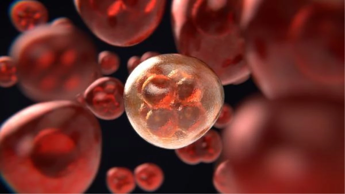 Son dakika haberi | Koronavirüs salgını, 1 milyon kanser vakasının gözden kaçmasına neden oldu