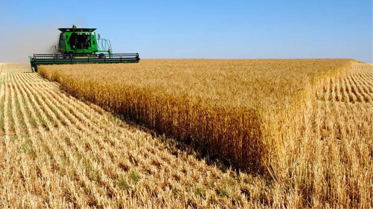 Tarım arazilerinin yabancılara satılması ve kiralanması Kazakistan\'da yasaklandı