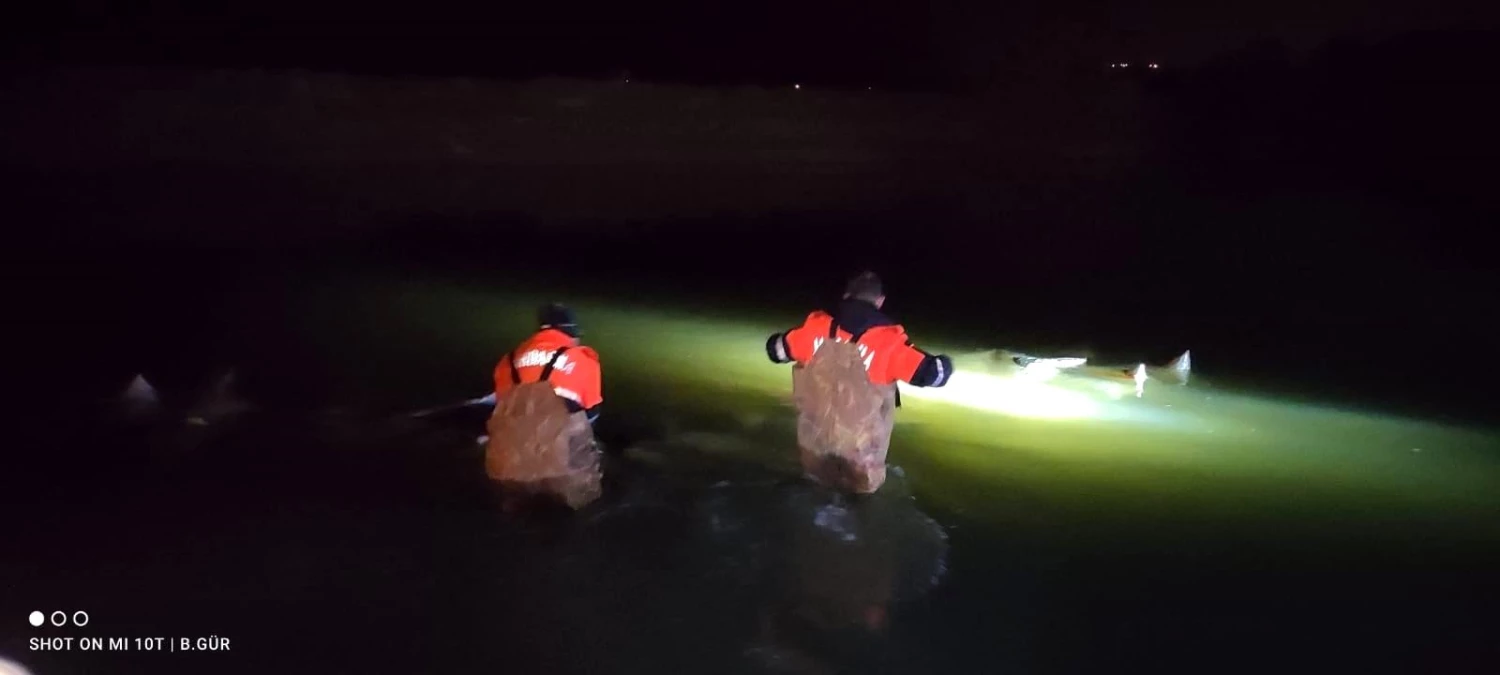Son dakika haber! Van Gölü\'nde 7.5 ton inci kefali ele geçirildi