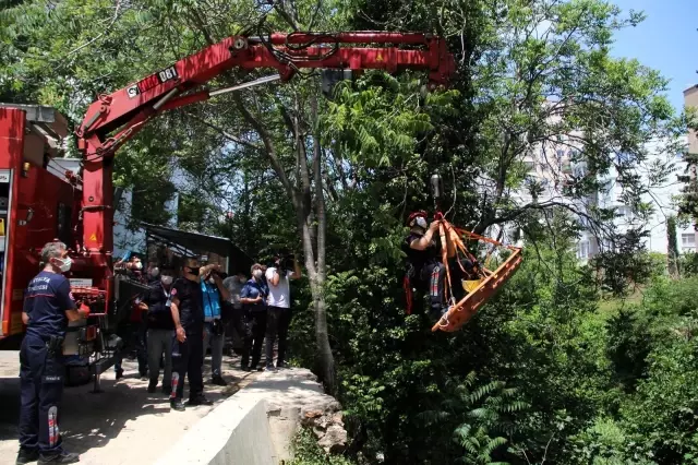 Düştüğü derede 5 gün boyunca ölüm kalım mücadelesi verdi, kurtulunca tek bir şey istedi