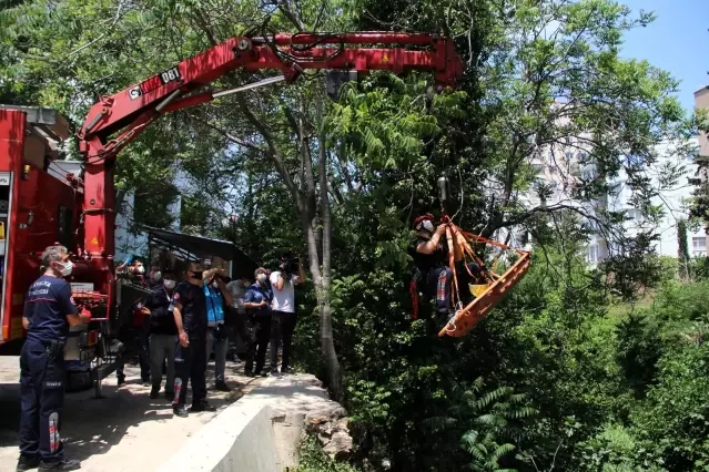 Düştüğü derede 5 gün boyunca ölüm kalım mücadelesi veren adam, kurtulunca ilk iş maske istedi Düştüğü derede 5 gün boyunca ölüm kalım mücadelesi veren adam, kurtulunca ilk iş maske istedi