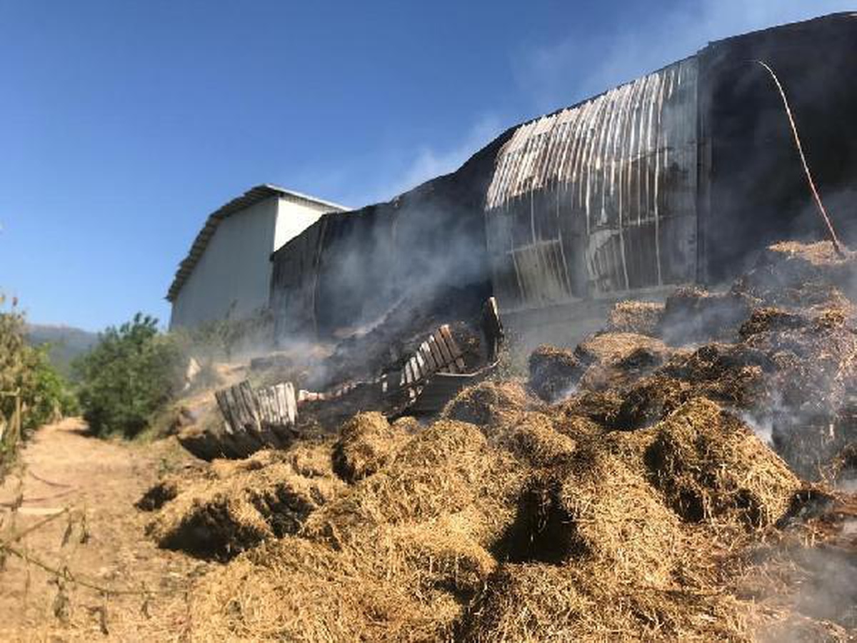 Son dakika haber! Depoda çıkan yangında 1.2 ton saman yandı