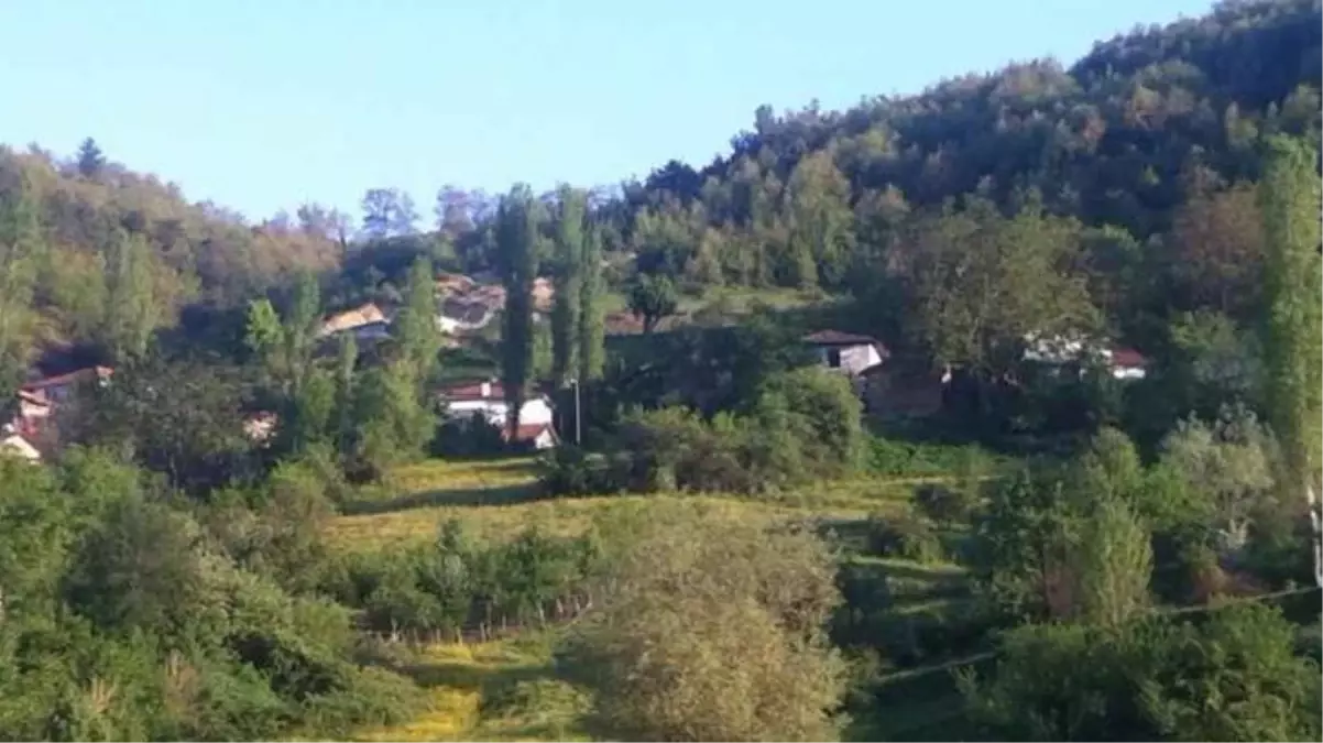 Kırmızı Amasya\'nın \'mavi\' köyü! Koronavirüs bu köye hiç uğramadı, başarının sırrı iki tedbirde