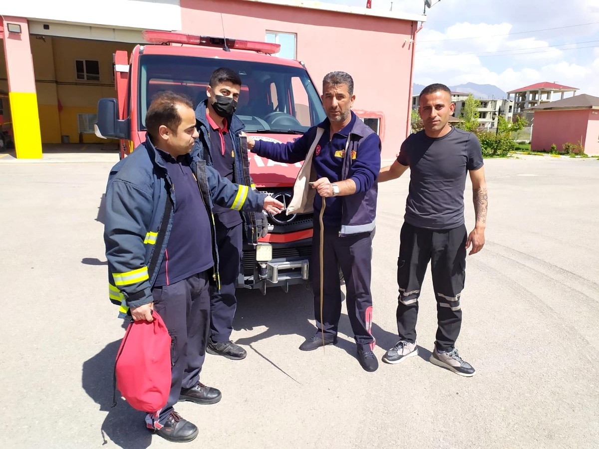 Tırın motor bölümüne giren yılanı itfaiye ekipleri çıkarttı
