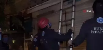 Yavru kedileri kurtarmak için seferber oldular