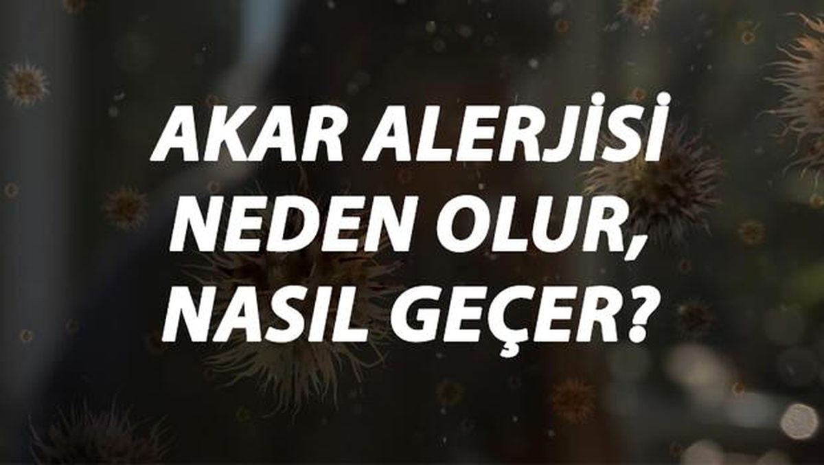 Akar Alerjisi Nedir, Neden Olur ve Nasıl Geçer? Ev Akarı Alerjisi Belirtileri ve Tedavisi Hakkında Bilgi