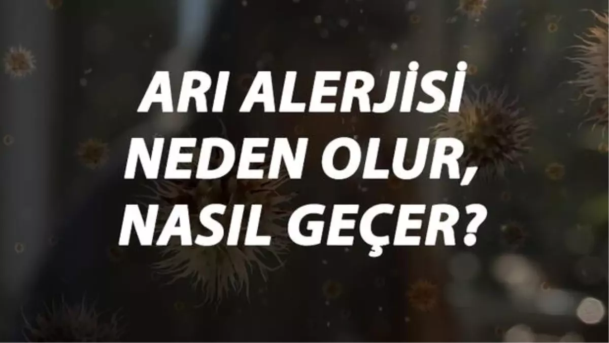 Arı Alerjisi Nedir, Neden Olur ve Nasıl Geçer? Arı Sokması Alerjisi Belirtileri ve Tedavisi Hakkında Bilgi