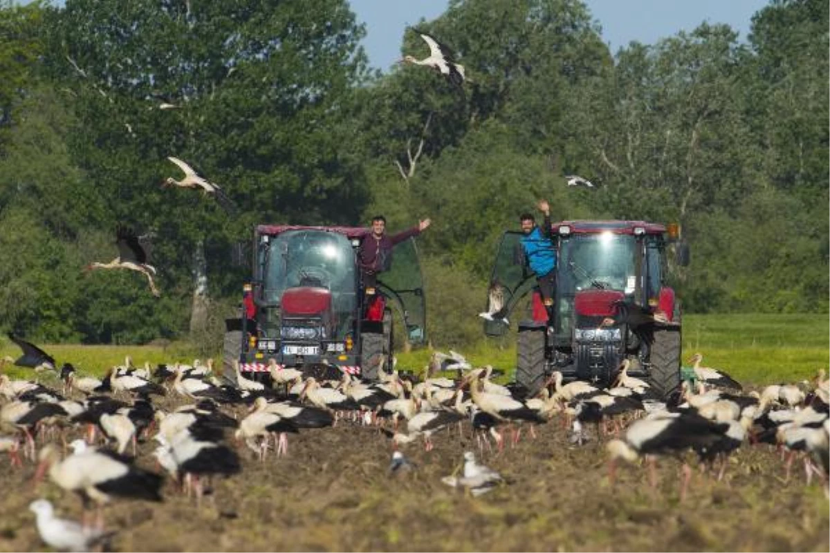\'Avrupa Leylek Köyü\'ndeki çiftçiler göç nedeniyle tarla sürme işlemini yavaşlattı