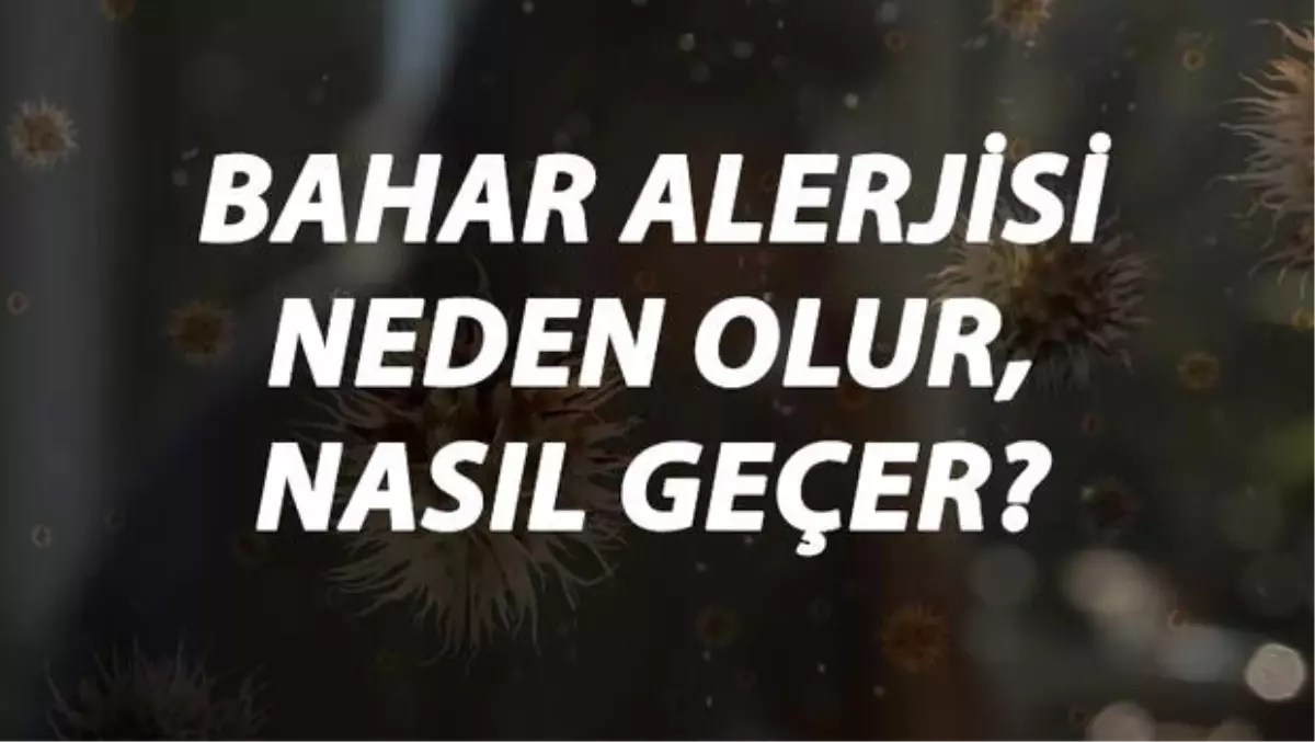 Bahar Alerjisi Nedir, Neden Olur ve Nasıl Geçer? Bahar Alerjisi Belirtileri ve Tedavisi Hakkında Bilgi